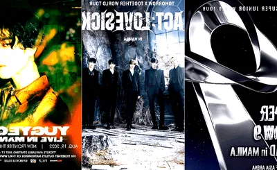 Pulp